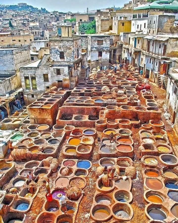 فاس… تُحاصرها وجوه محروقة وأخرى تجهل أبجديات السياسة